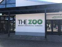 Zoo Belfast