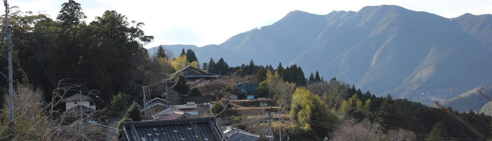 Urban-rural migration and rural revitalization in Japan